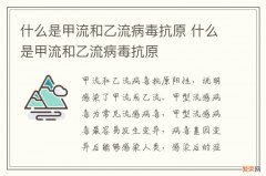 什么是甲流和乙流病毒抗原 什么是甲流和乙流病毒抗原