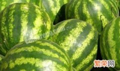 西瓜怎么用肥料 西瓜怎么用肥料施肥最好
