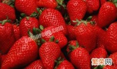 减肥期间吃草莓会胖吗 减肥期间吃草莓会不会胖