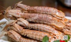 吃皮皮虾的季节 吃皮皮虾的季节什么时候最好
