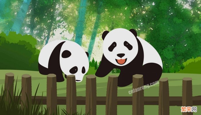 大熊猫乐乐丫丫租期2023 旅美大熊猫乐乐是如何离世的