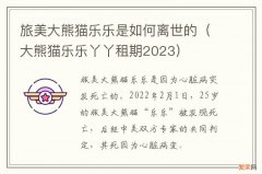 大熊猫乐乐丫丫租期2023 旅美大熊猫乐乐是如何离世的