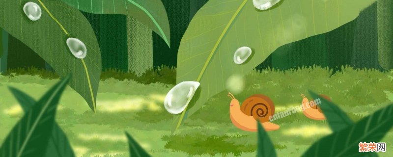 谷雨三候是什么 谷雨三候是什么思维