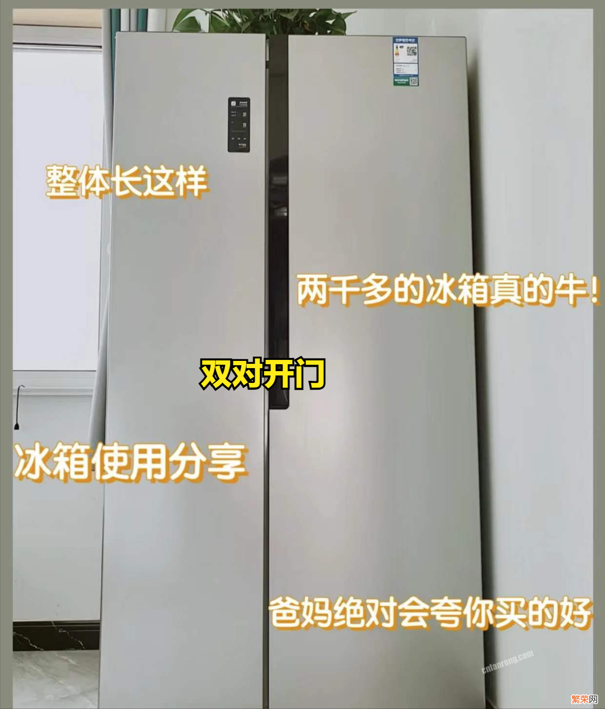 双对开门冰箱和十字对开门冰箱选择建议 多门冰箱和十字对开门冰箱哪个好