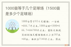 1500亩是多少个足球场 1000亩等于几个足球场