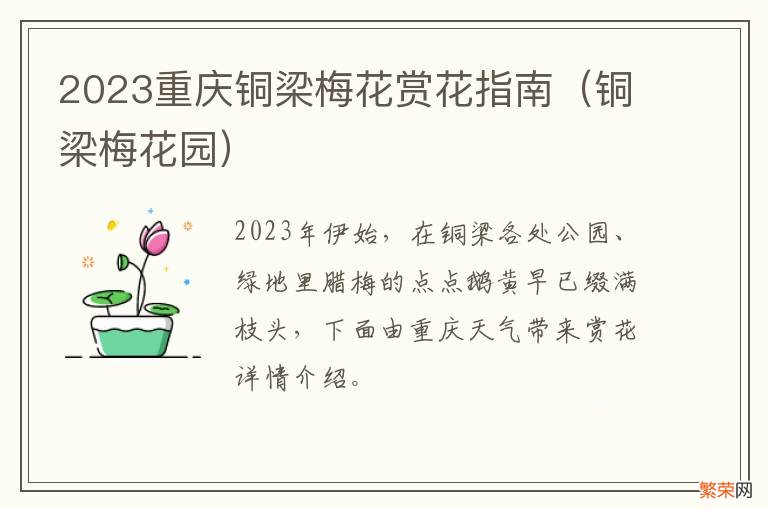 铜梁梅花园 2023重庆铜梁梅花赏花指南