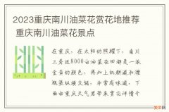 2023重庆南川油菜花赏花地推荐 重庆南川油菜花景点