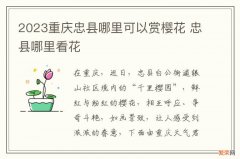 2023重庆忠县哪里可以赏樱花 忠县哪里看花