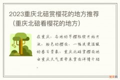 重庆北碚看樱花的地方 2023重庆北碚赏樱花的地方推荐