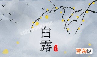 处暑后面是什么节气 处暑后面的节气是什么意思