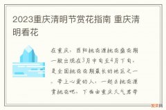 2023重庆清明节赏花指南 重庆清明看花