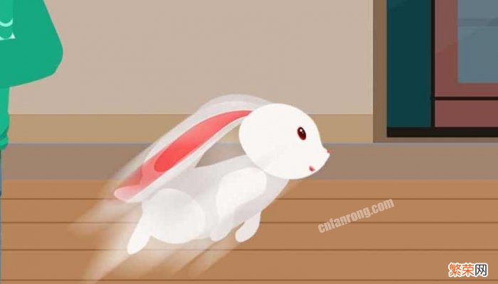 复活节兔子的由来英文 复活节兔子的由来