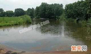 鱼塘水质不好怎么解决 鱼塘水质不好怎么解决方法